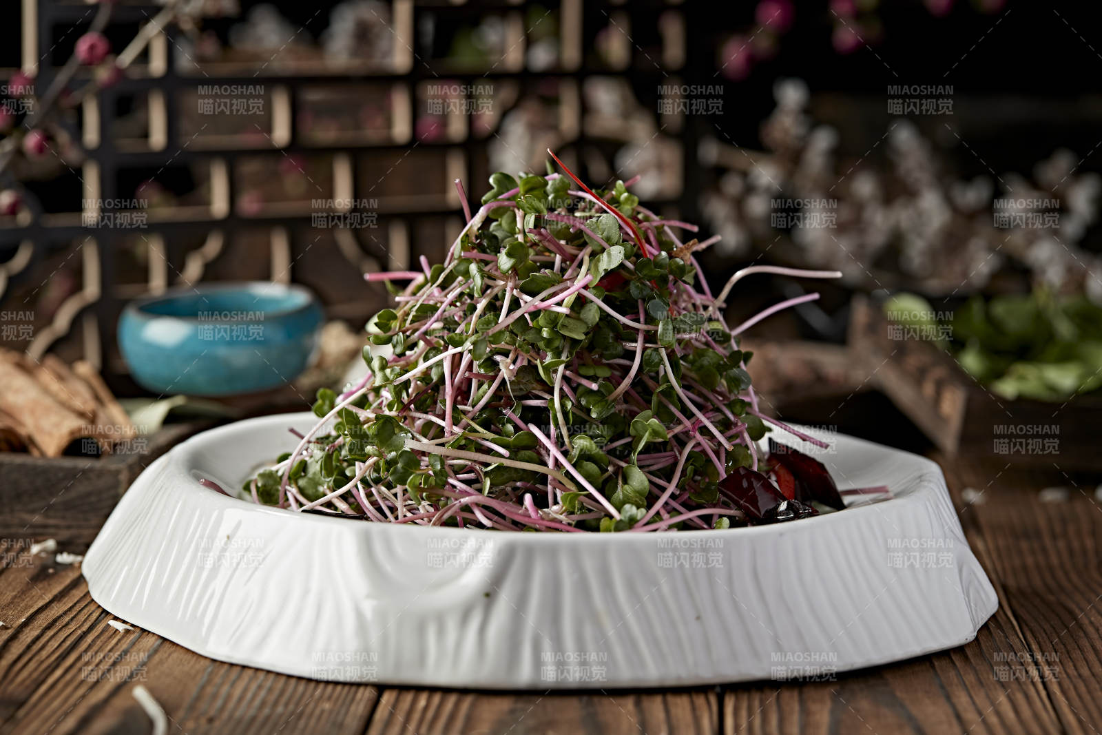 凉拌香椿苗黑豆苗图片