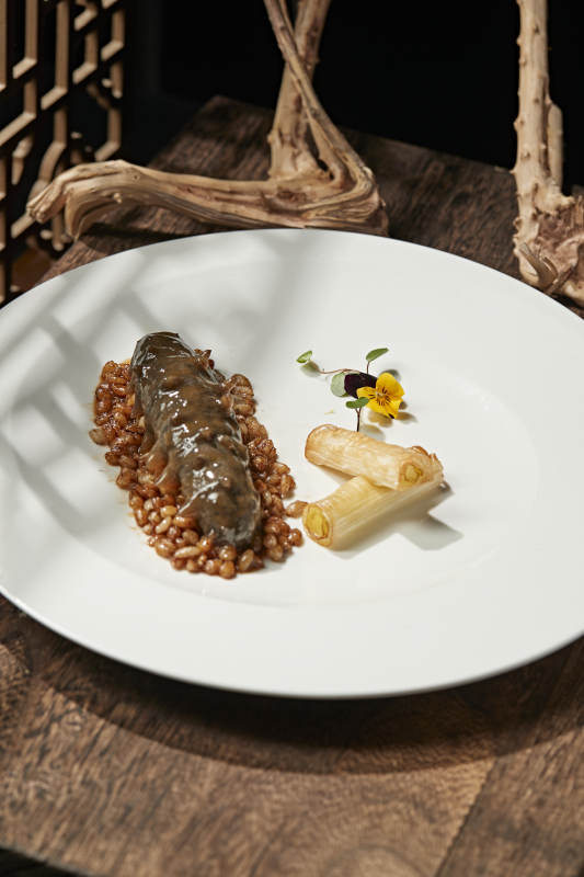 粤式薏米烧辽参图片