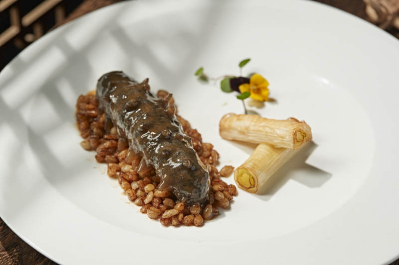 粤式薏米烧辽参图片