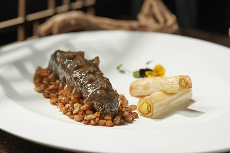 粤式薏米烧辽参图片