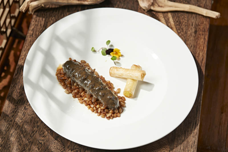 粤式薏米烧辽参图片