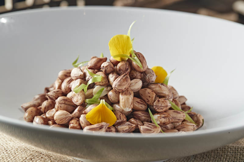 卤水七彩花生图片