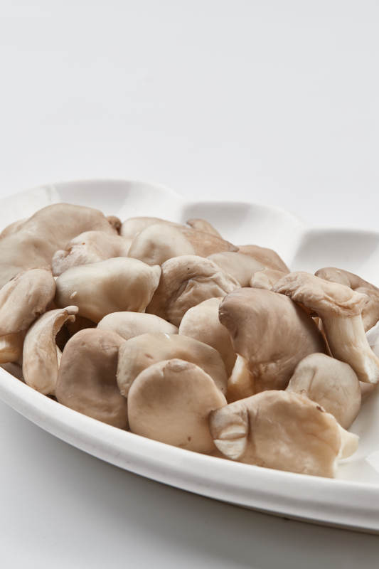 白色瓷盘装的火锅食材山珍蘑图片
