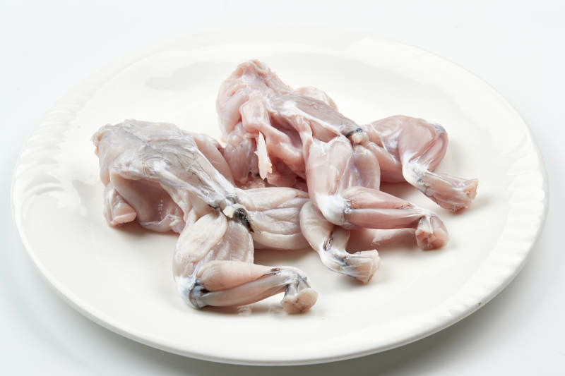 白色瓷盘装的现杀大牛蛙图片