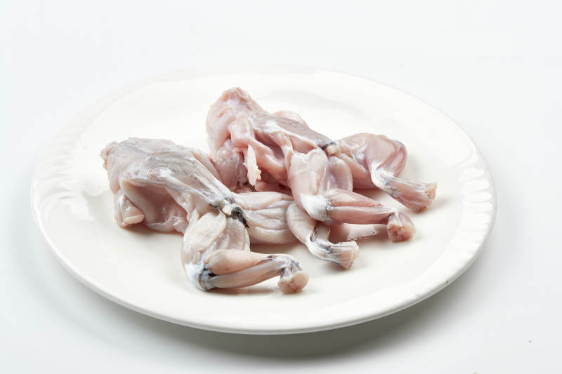 白色瓷盘装的现杀大牛蛙图片