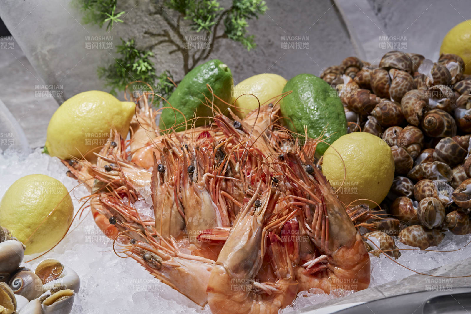 高档星级酒店自助餐的海鲜餐台图片