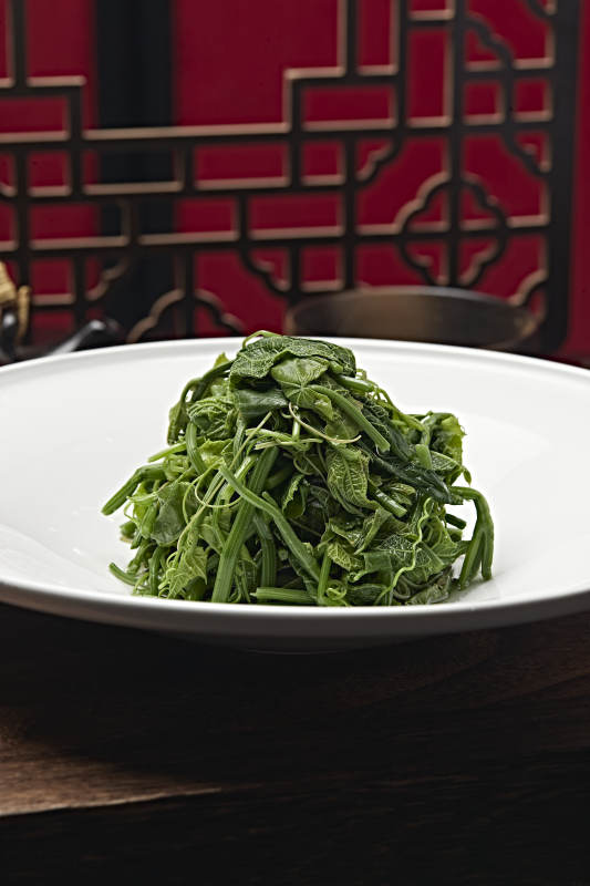 凉拌盐水蕨菜图片