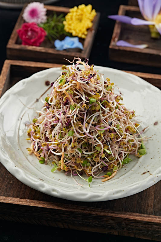 巧拌萝卜苗图片