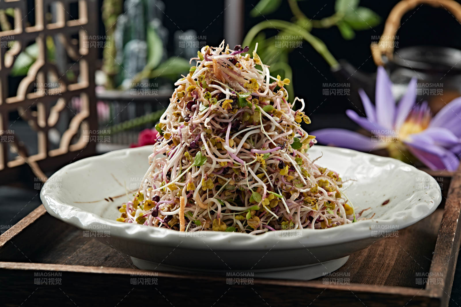 巧拌萝卜苗图片