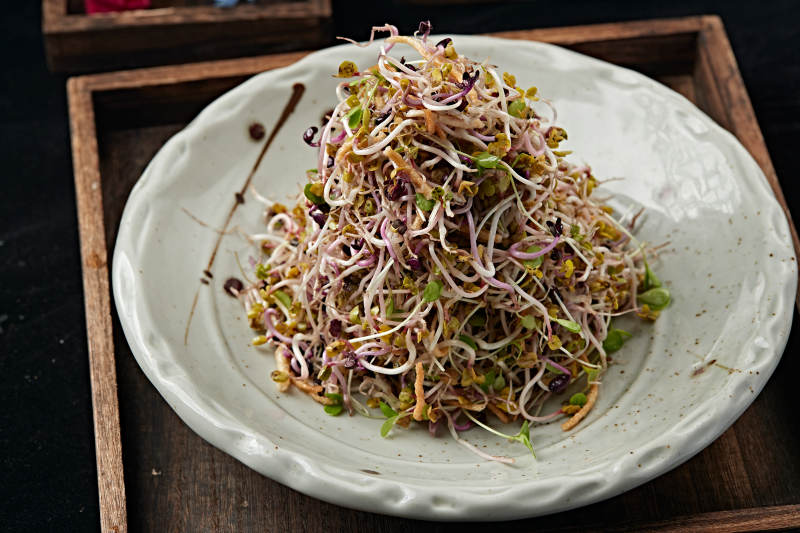 巧拌萝卜苗图片