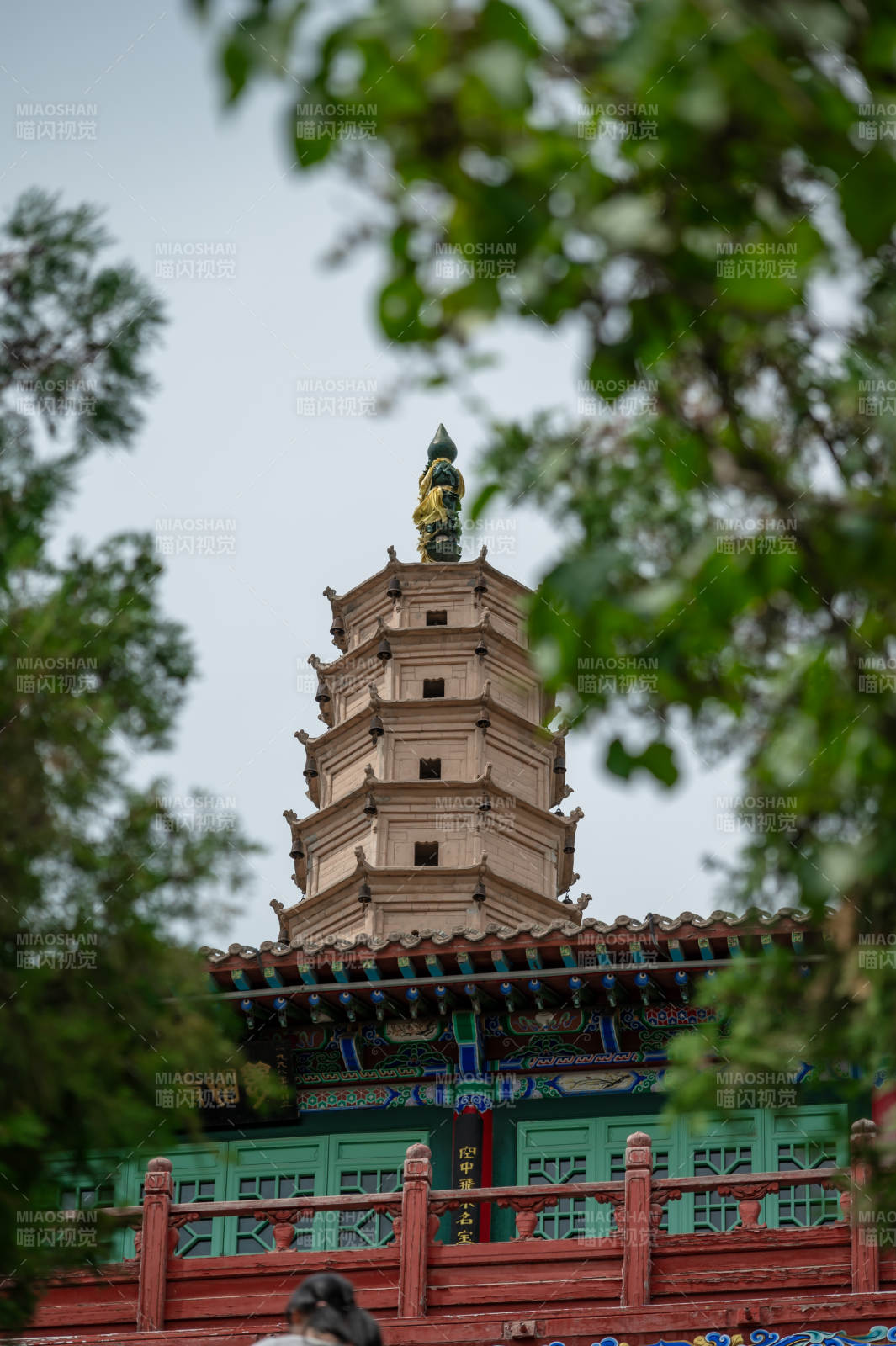 古塔映绿树。图片