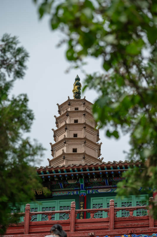 古塔映绿树。图片