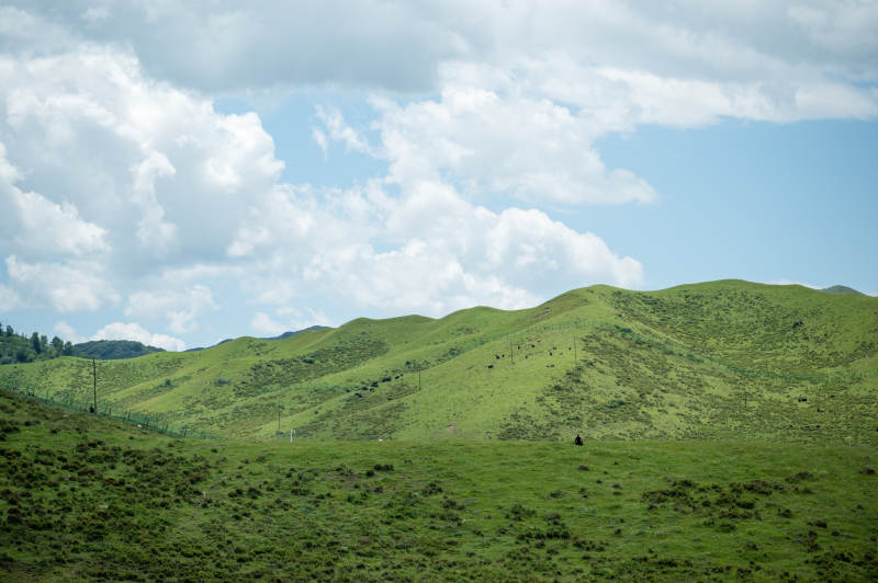 绿野蓝天 云卷云舒。图片