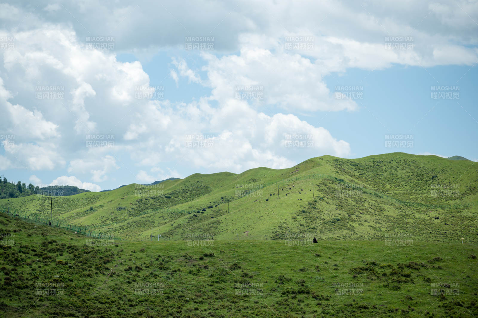 绿野蓝天 云卷云舒。图片