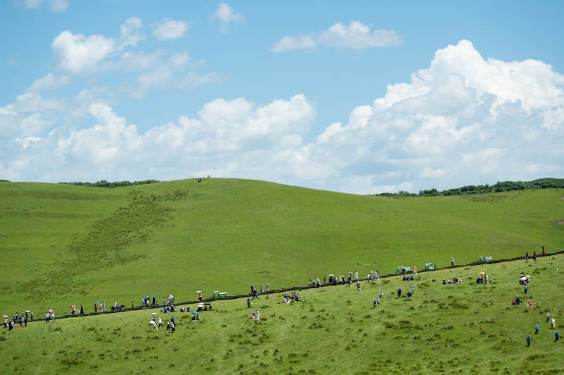 绿野欢聚 云天共舞。图片