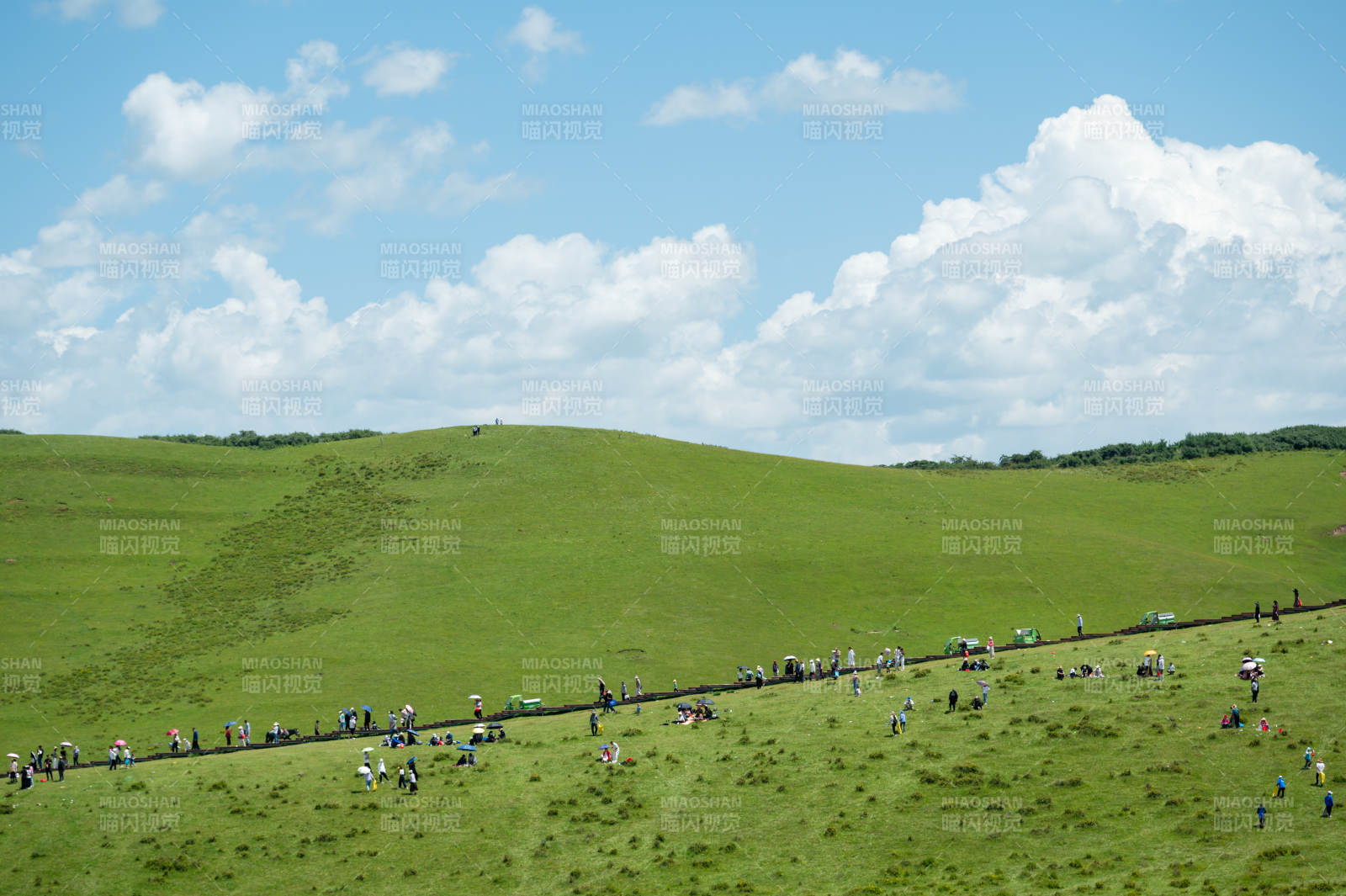 绿野欢聚 云天共舞。图片