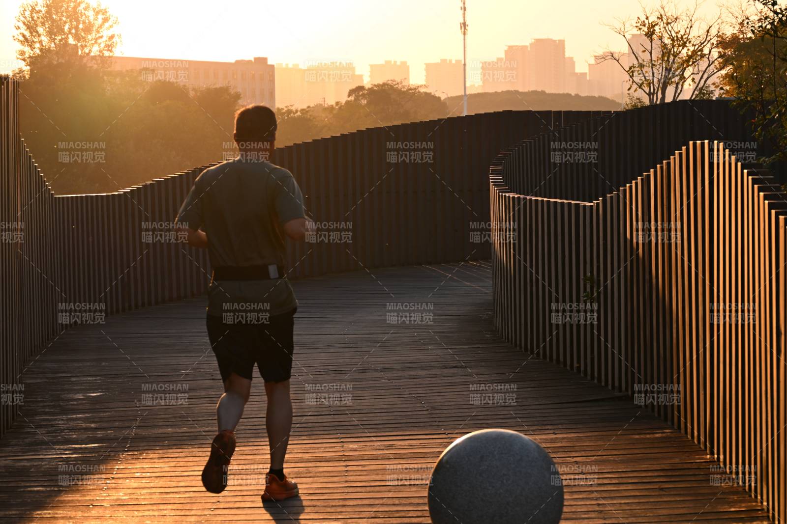 晨跑者背影图片