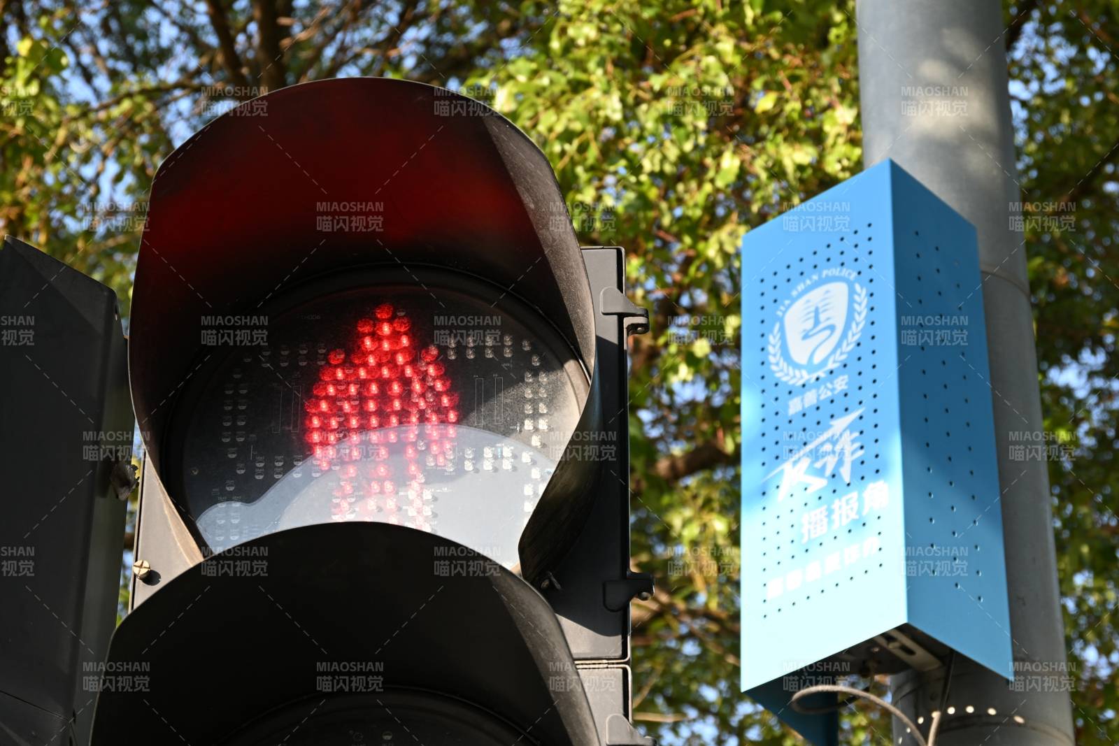 红灯停顺 听蓝箱反诈宣传图片