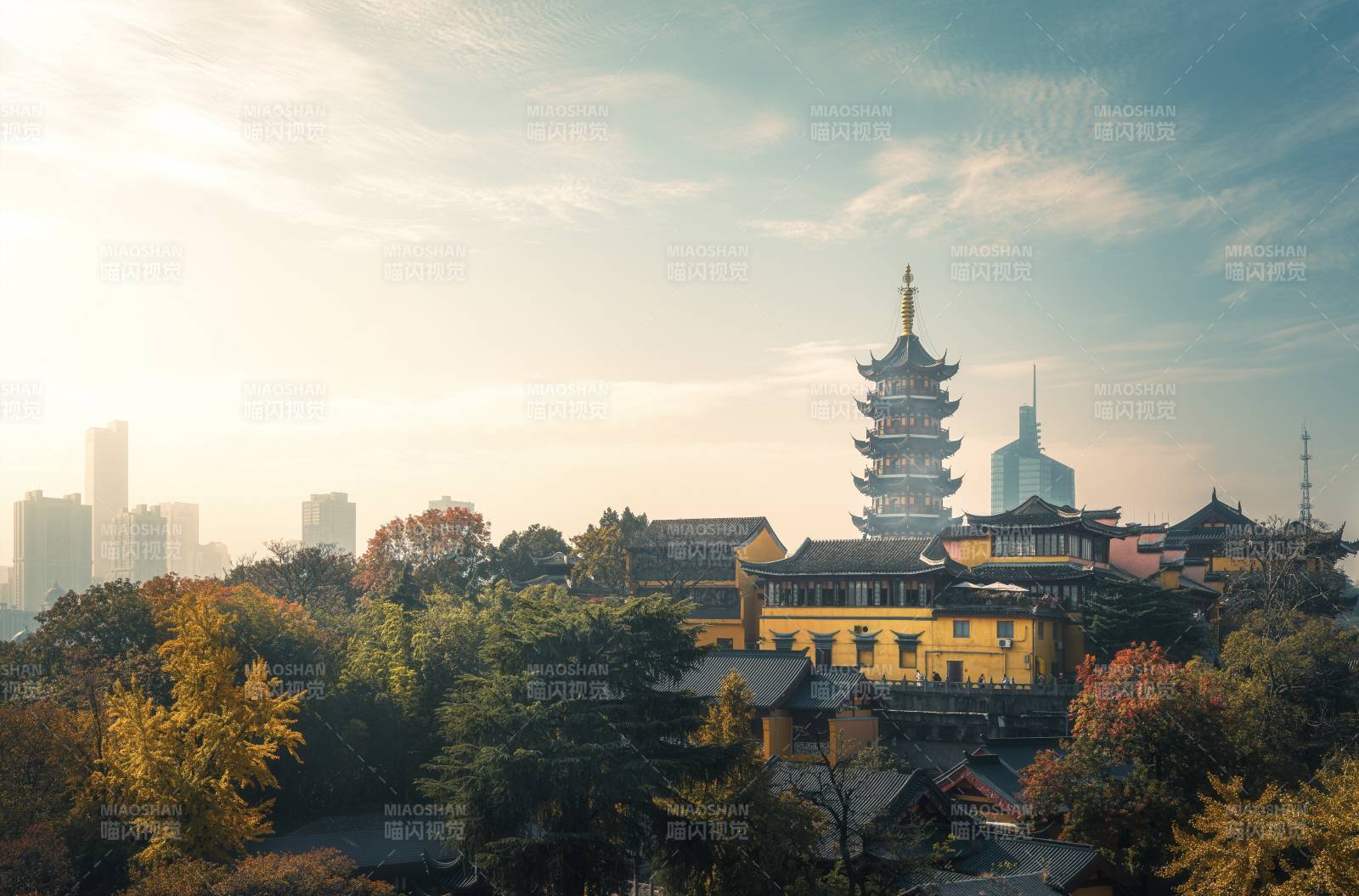 南京鸡鸣寺古塔映城景图片
