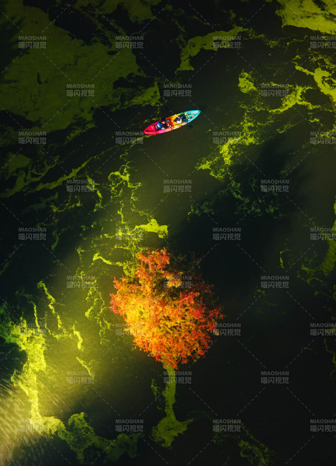 临安青山湖秋水行舟图片