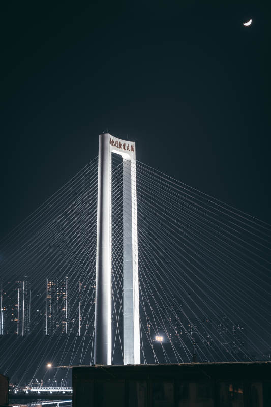 重庆南纪门大桥夜景图片