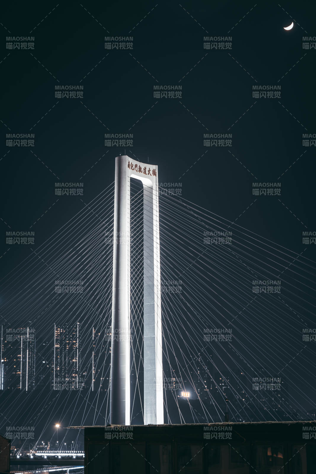 重庆南纪门大桥夜景图片