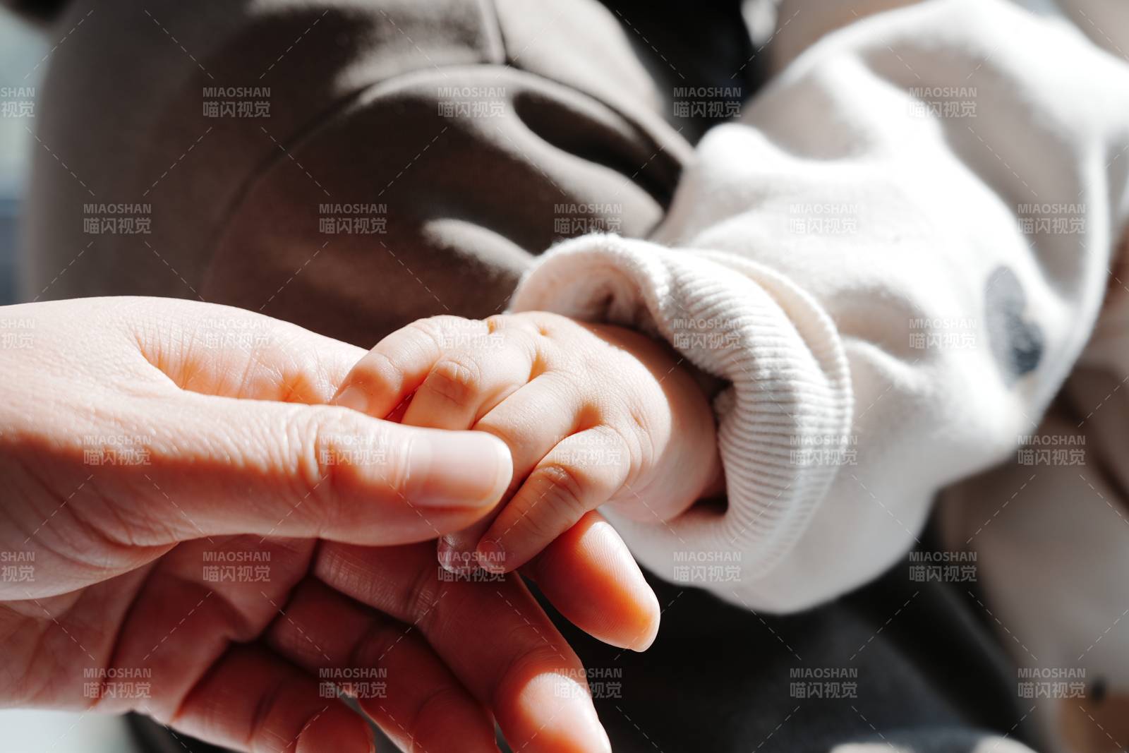 牵手的温暖瞬间图片