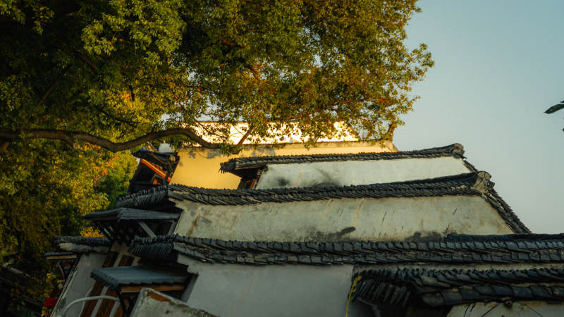 司前街和道前街古建筑与树影图片