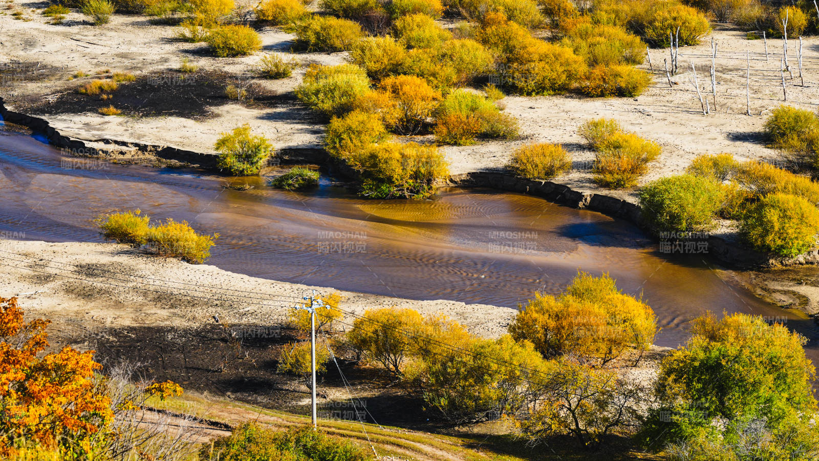 乌兰布统秋水映黄林图片