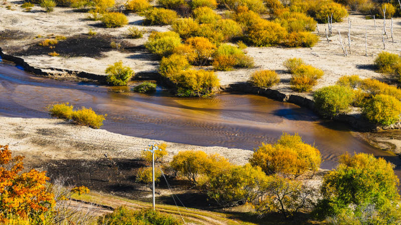乌兰布统秋水映黄林图片