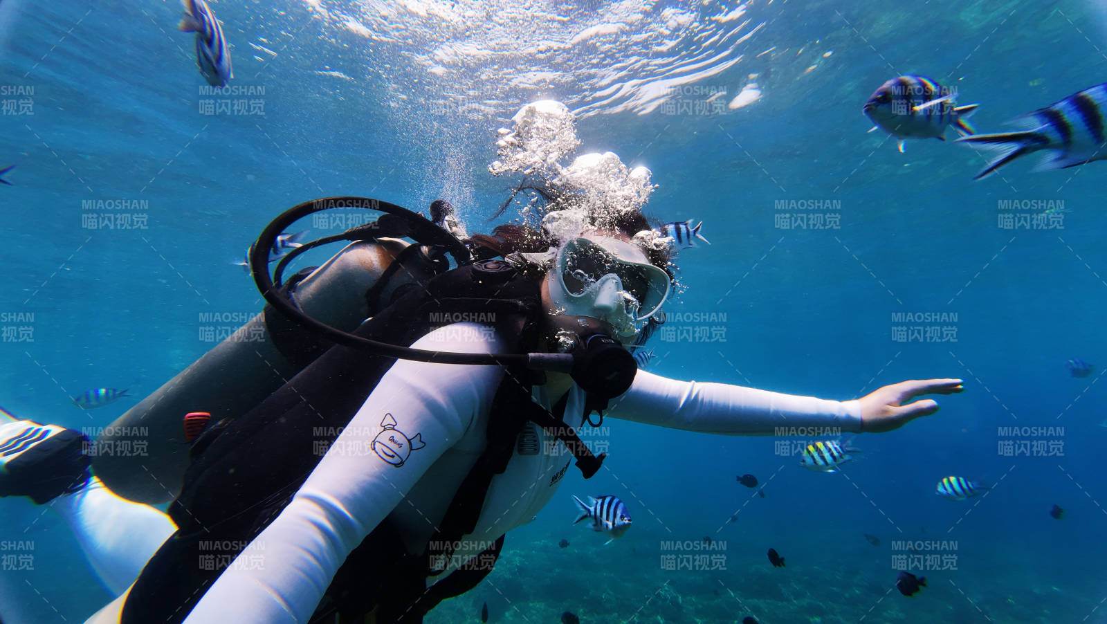 海底潜水探秘图片