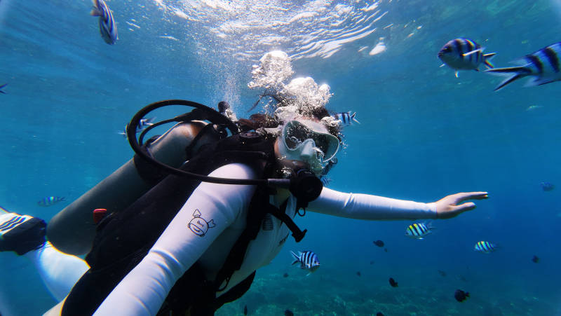 海底潜水探秘图片