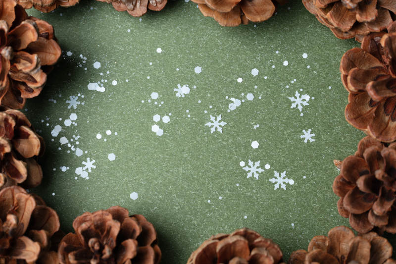 松果围雪景图片