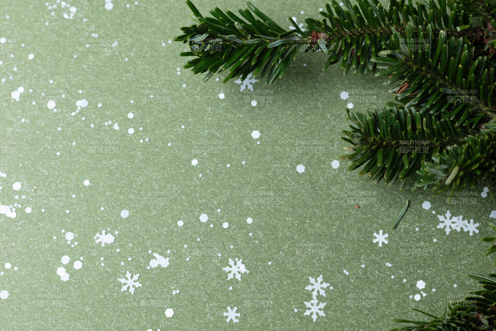 冬日松枝雪景图片