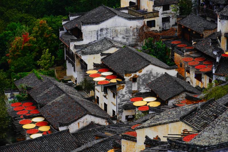 晒秋古村风光位于婺源篁岭图片