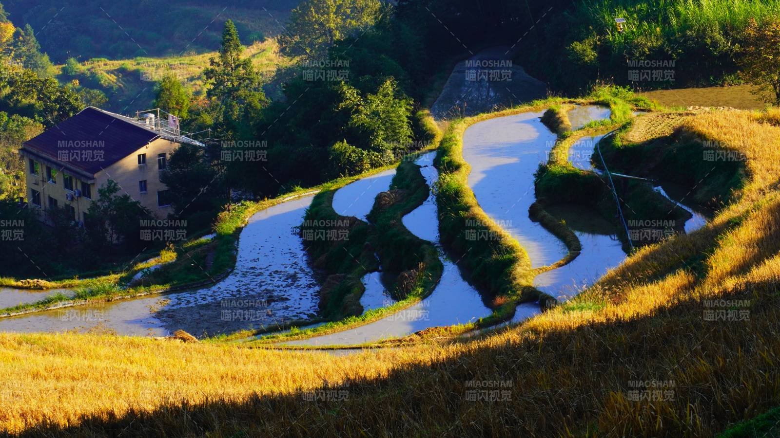 梯田秋色美如画位于丽水云和梯田图片