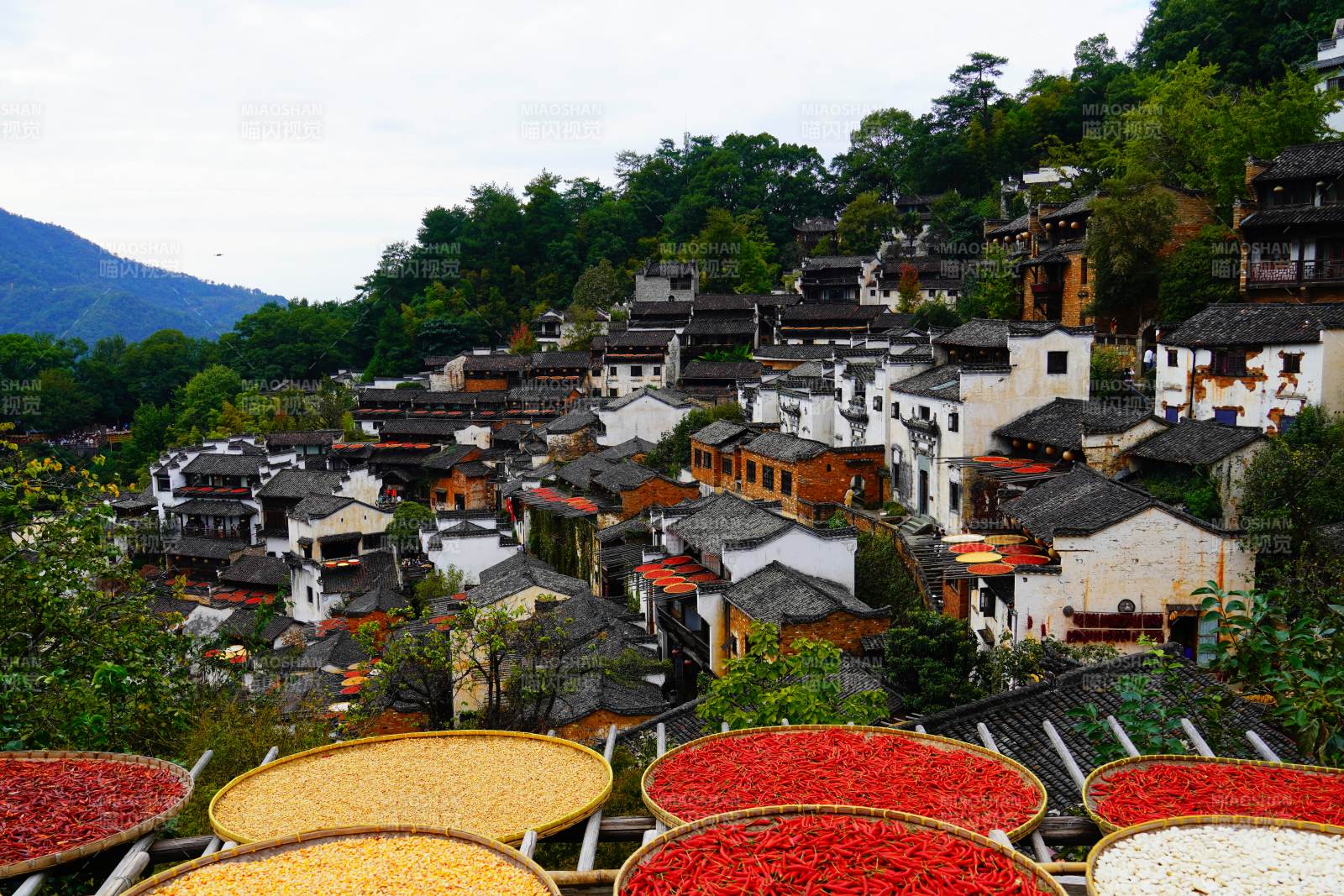 古村晒秋景位于江西婺源篁岭图片