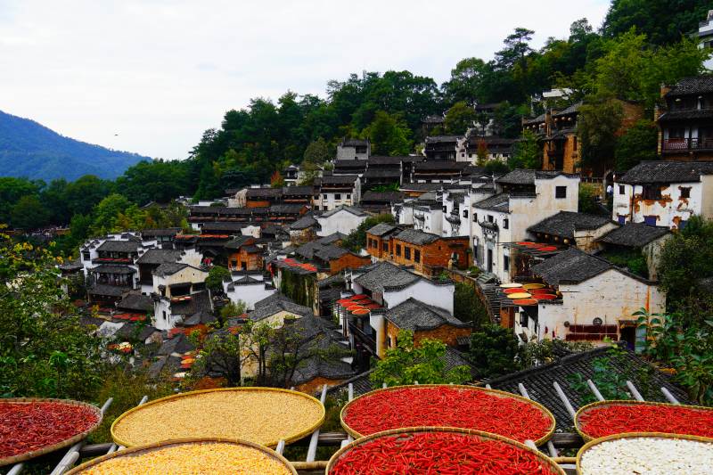 古村晒秋景位于江西婺源篁岭图片