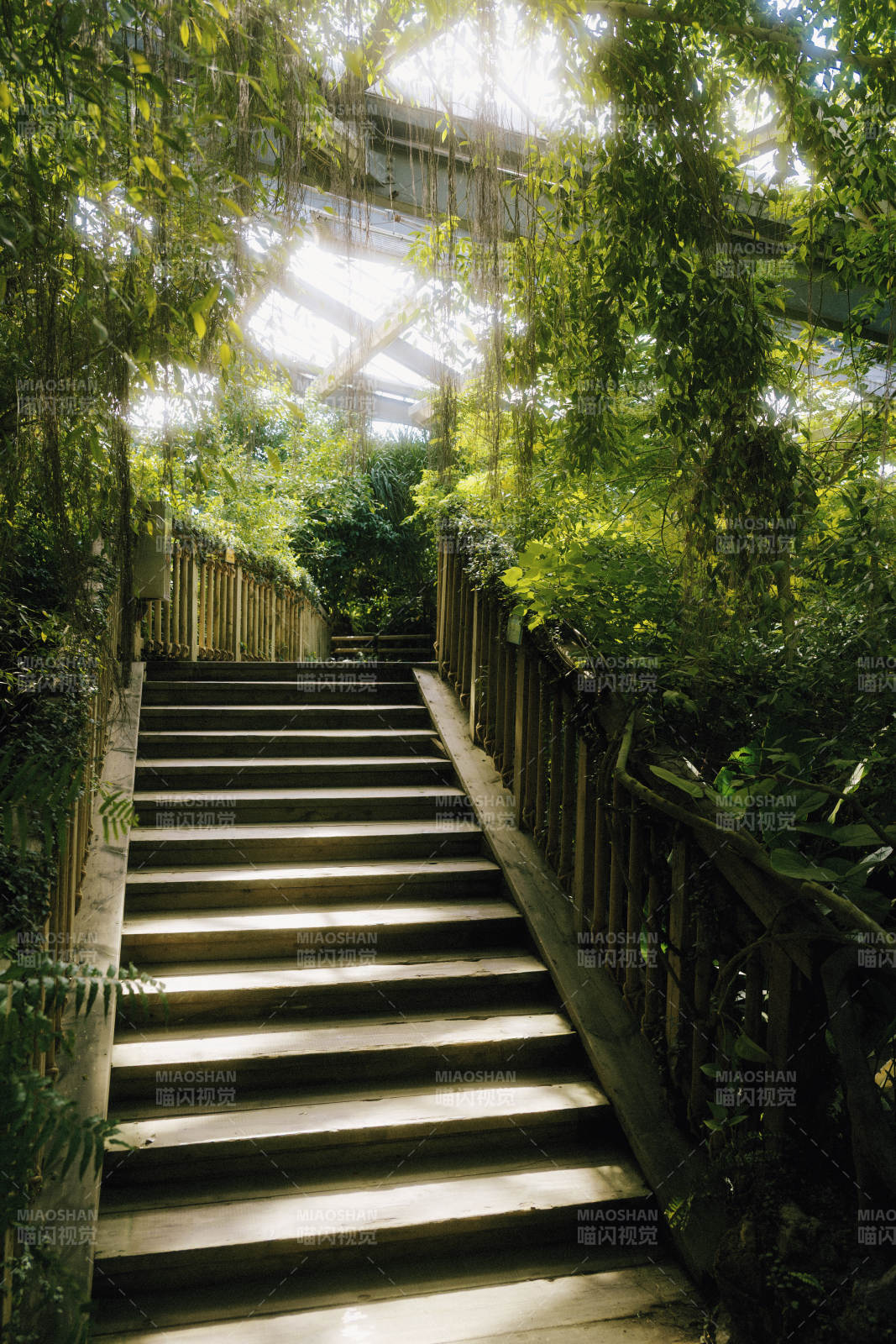 绿意盎然的阶梯图片