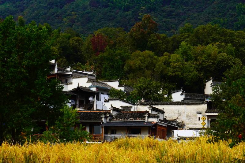 田园古村秋景位于塔川图片