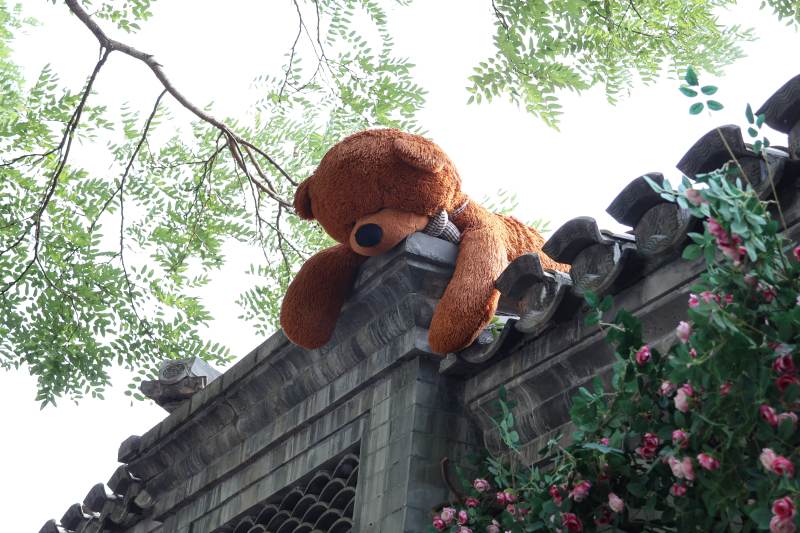 屋顶上的小熊图片