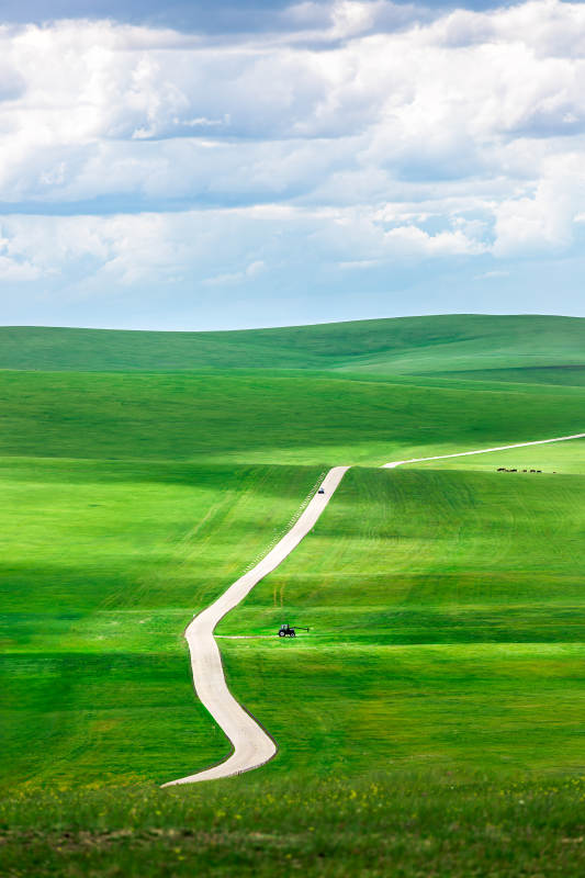 呼伦贝尔大草原绿野蜿蜒路图片