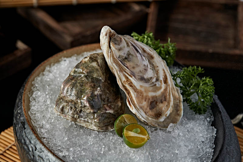 极品法国生蚝图片