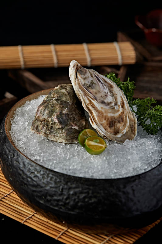 极品法国生蚝图片