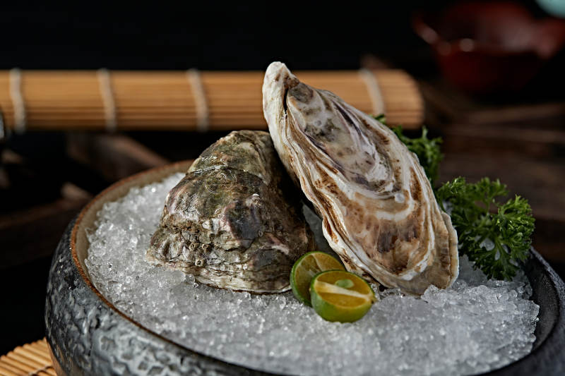 极品法国生蚝图片