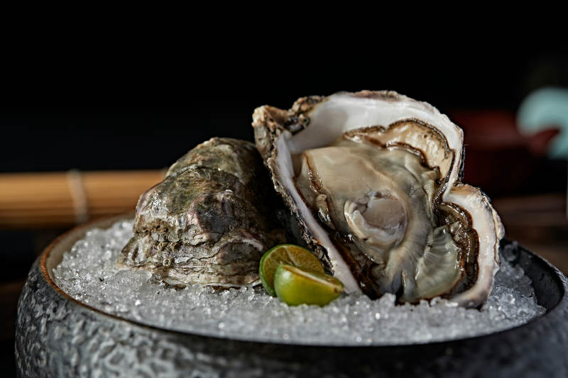 极品法国生蚝图片