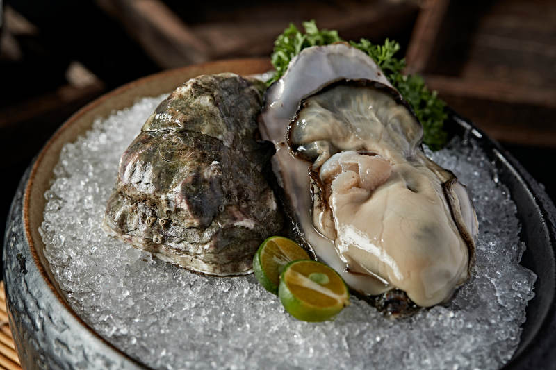 极品法国生蚝图片