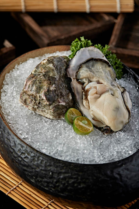 极品法国生蚝图片