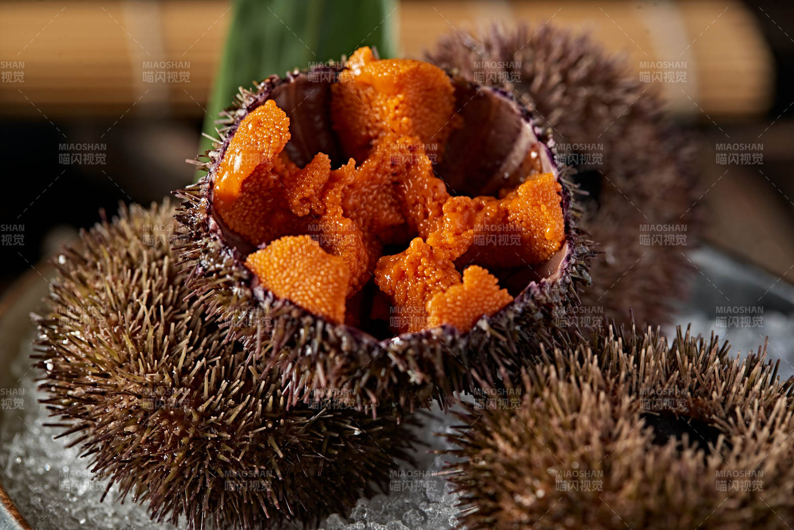 日料生鲜海胆刺身图片