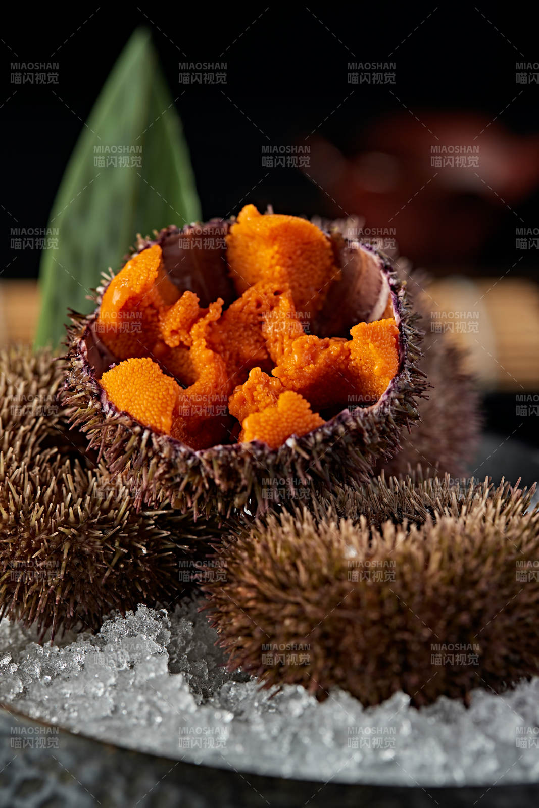 日料生鲜海胆刺身图片